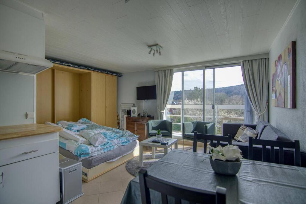 Studio Au Domaine Le Vieux Moulin Apartment Han-sur-Lesse Ngoại thất bức ảnh
